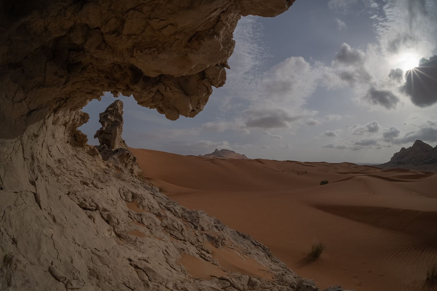 Become a Certified Web Developer: HTML, CSS and JavaScript