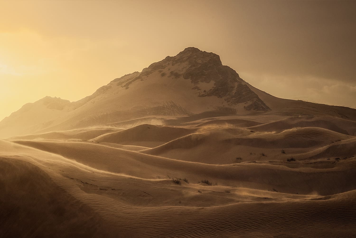 Introduction to Information Technology